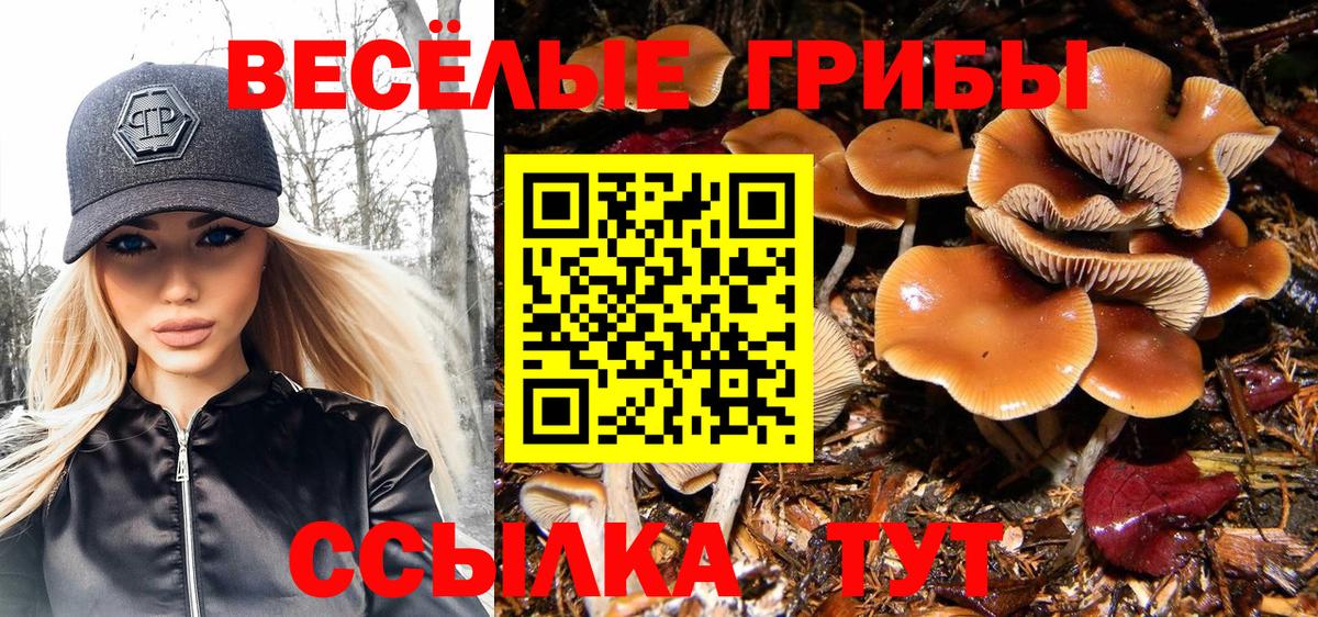 Белебей  Галлюциногенные грибы ЛСД  Вход с VPN 
